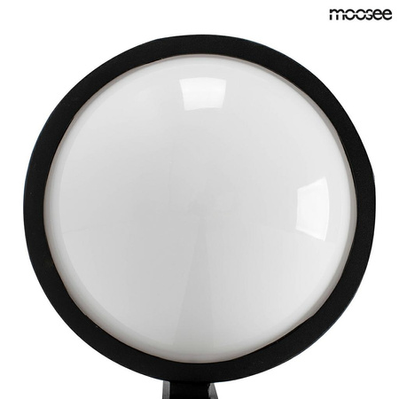 Lampa ścienna ścienna PLANT WALL czarna