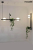 Lampa ścienna ścienna PLANT WALL czarna