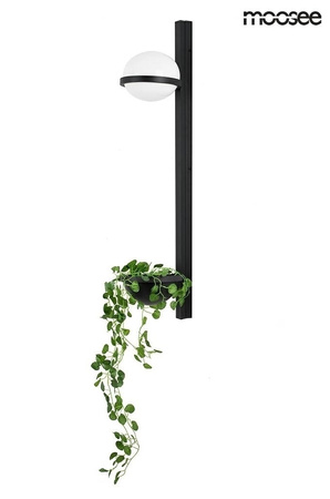 Lampa ścienna ścienna PLANT WALL czarna