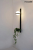 Lampa ścienna ścienna PLANT WALL czarna
