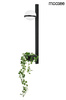 Lampa ścienna ścienna PLANT WALL czarna
