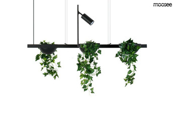 Lampa wisząca PLANT LINE czarna