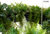 Lampa wisząca GARDENS WISTERIA 70
