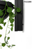 Lampa ścienna ścienna PLANT WALL czarna